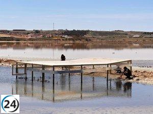 Se liberan 19 cercetas pardilla en la Laguna de Pétrola para salvarlas de la extinción en España.