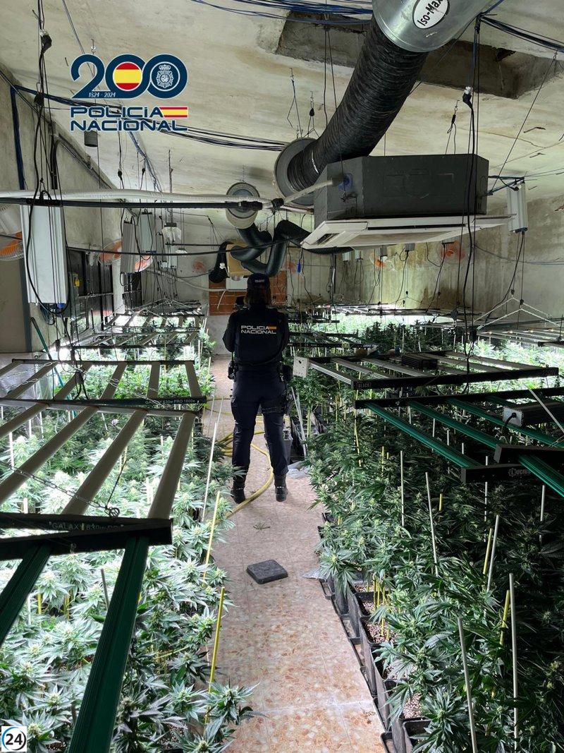 Desmantelan plantación ilegal de marihuana en una nave industrial de Sonseca.