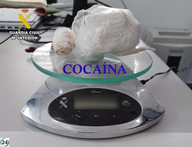 Arresto en Elche de la Sierra: confiscadas 1.500 dosis de cocaína en un operativo por delitos de salud pública.