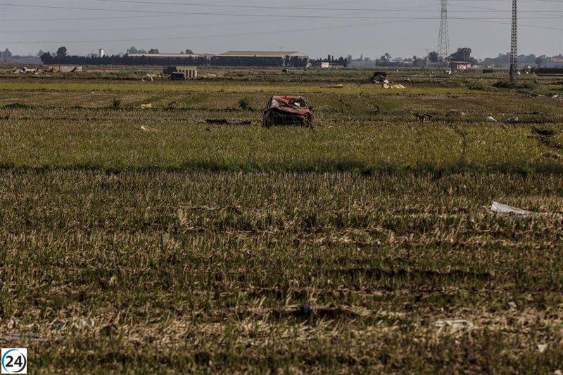 Inicia la solicitud de 53,1 millones en ayudas para agricultores perjudicados por la DANA.
