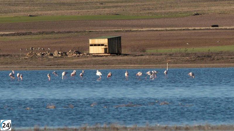 Castilla-La Mancha celebra el Día Mundial de los Humedales con eventos gratuitos para promover la conciencia ambiental.