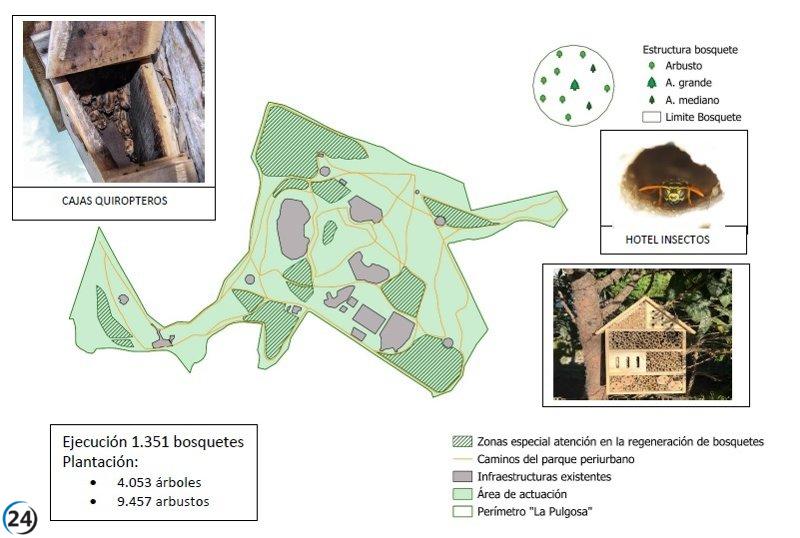Albacete busca 2,6 millones de euros en fondos europeos para revitalizar La Pulgosa.