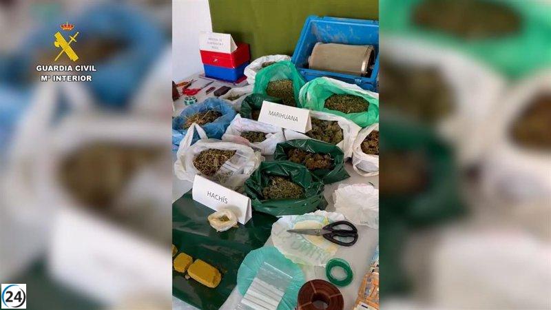 Desarticulan banda dedicada al cultivo y tráfico de drogas en Villarrubia de los Ojos con seis arrestos.