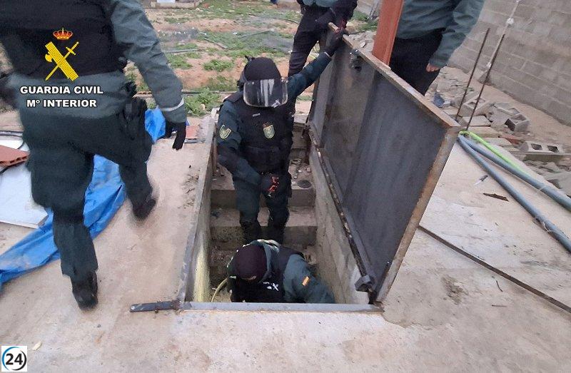 Desmantelan en El Salobral tres invernaderos clandestinos con 800 plantas de cannabis.