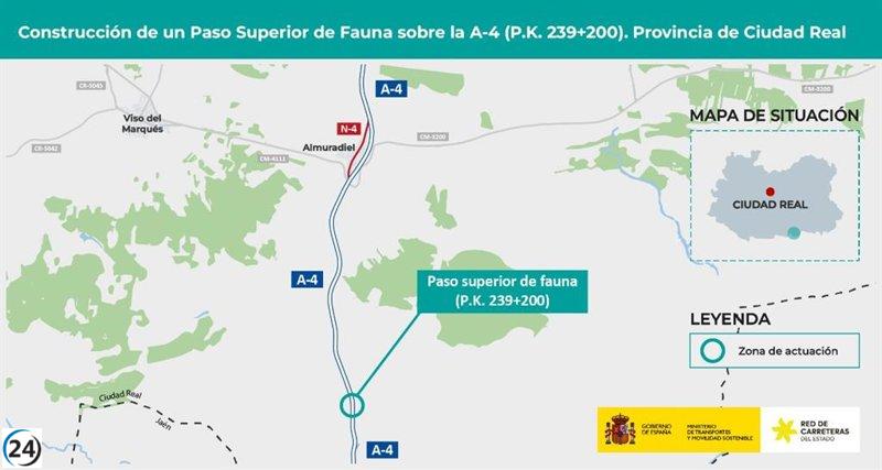 Transporte da luz verde a un paso elevado para la fauna en la A-4 en Almuradiel.