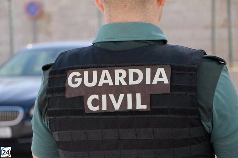 Arrestan en Madrid a un individuo por intento de robo en un negocio de Santa Olalla.