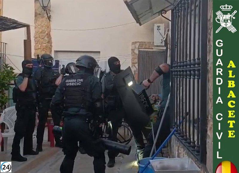 Cuatro arrestados en Letur por cultivar marihuana destinada al festival musical local.
