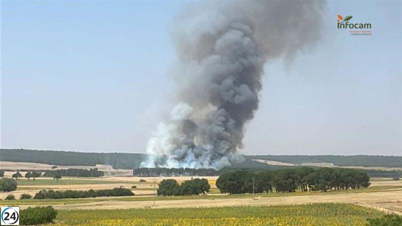 Apagado el incendio forestal que surgió el sábado en Almodóvar del Pinar.