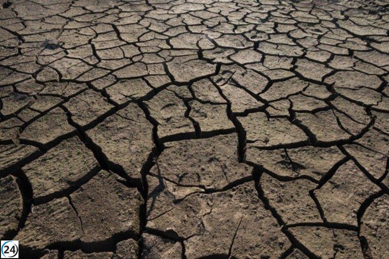 Castilla-La Mancha destina hasta 2.350 euros en apoyo a agricultores afectados por la sequía.