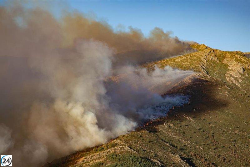 Medios aéreos regresan para combatir el nivel 2 del incendio en Peñalba de la Sierra.