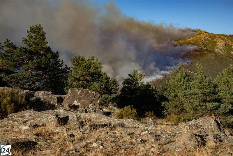 El incendio en Peñalba de la Sierra se declara extinguido tras nueve días de esfuerzos intensos.