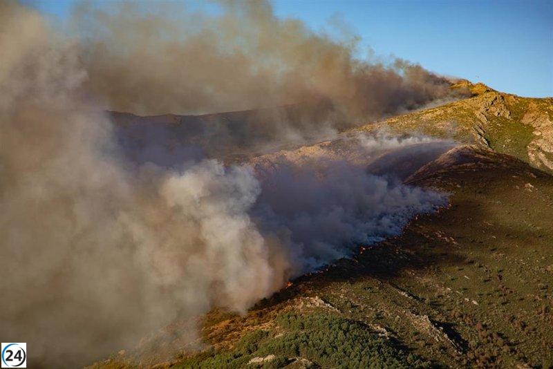 Incendio forestal en Peñalba de la Sierra, bajo control tras intensas labores de extinción.