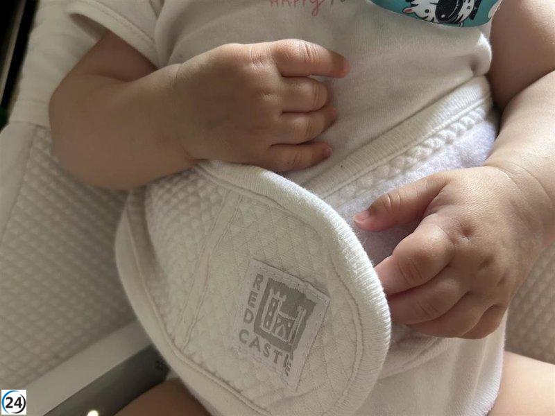 Cierre de páginas progestación subrogada en España tras hallazgos publicitarios, incluida una firma de Guadalajara.