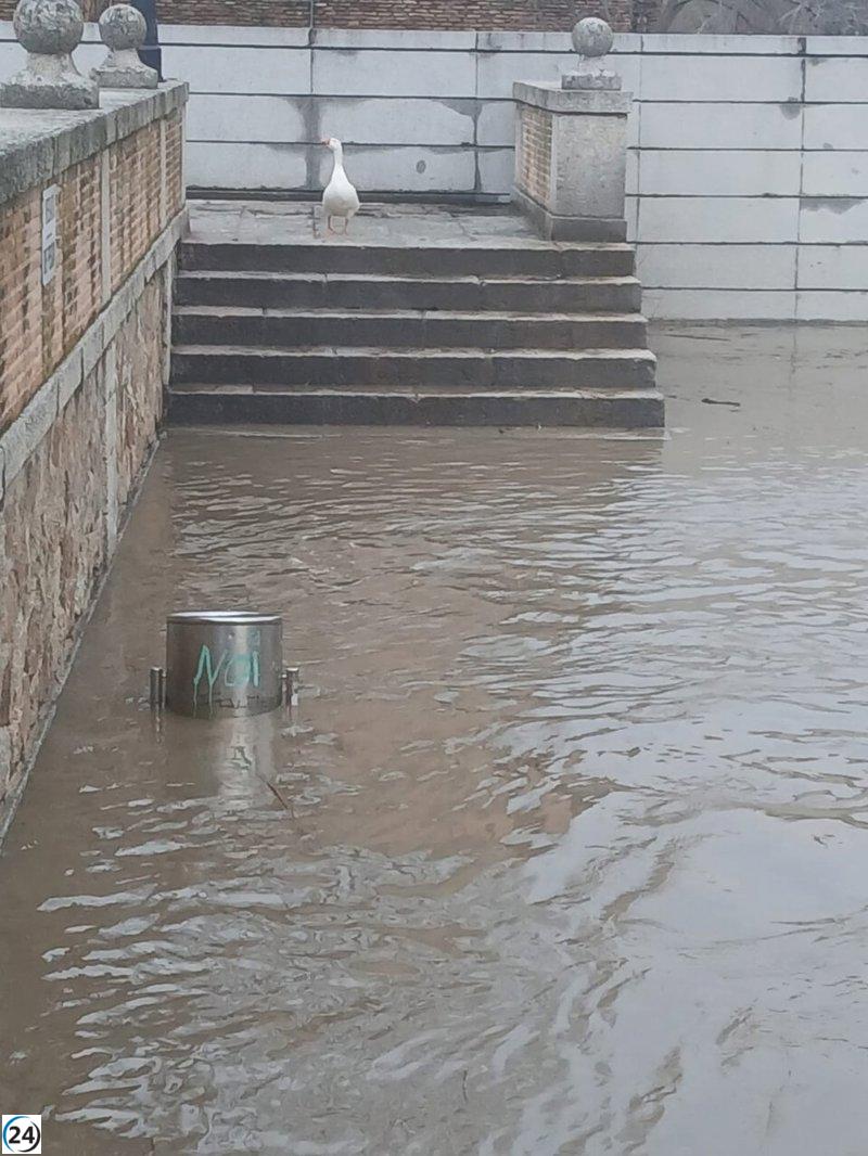 Velázquez alerta sobre el aumento del Tajo en Toledo y llama a la cautela en la población.