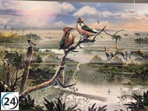 Un nuevo hallazgo en Las Hoyas revela claves sobre la evolución del cráneo en las aves gracias al Gorgonavis alcyone.