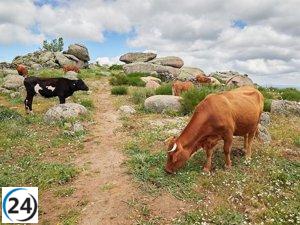 C-LM compensará a ganaderos y agricultores por la guerra de Ucrania con 19,5 millones de euros.