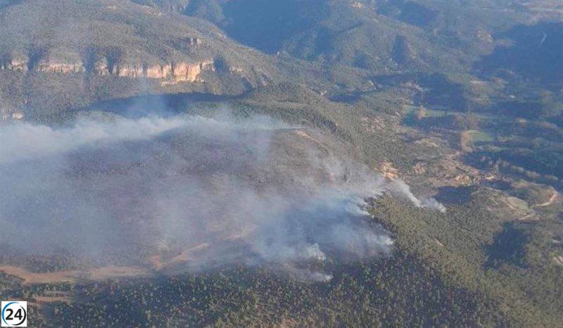 Apaga el fuego en Ocentejo (Guadalajara).