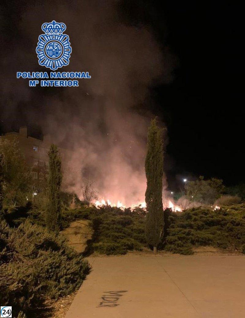 Cuatro menores sorprendidos quemando árboles en barrio toledano.