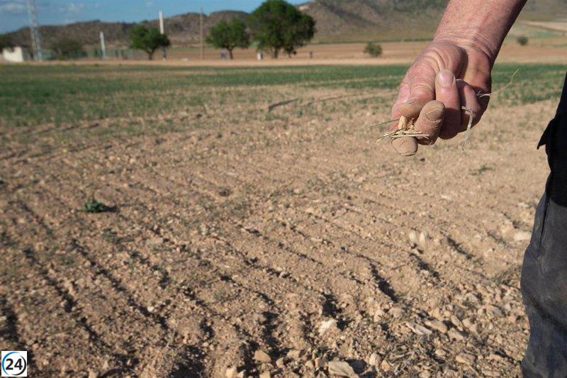 Arroyo propone destinar fondos del PDR a ayudas directas a agricultores en C-LM.