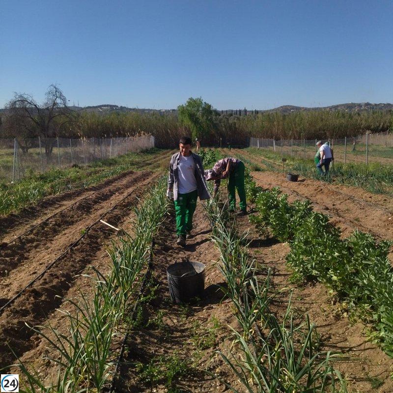 El programa de Cáritas Toledo ayudó a 864 personas en 2022.