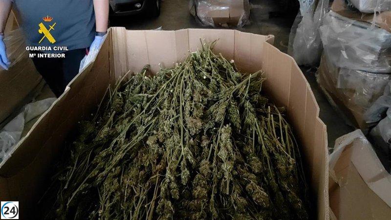 Dos toneladas de marihuana encontradas en una nave industrial de Cabanillas y su responsable detenido.