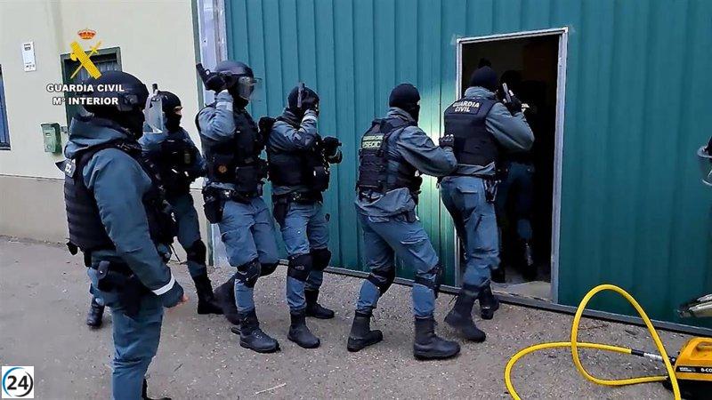 330 kilos de marihuana incautados y persona detenida en polígono industrial de Chinchilla.