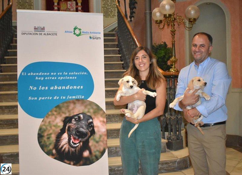 El programa 'Emperrados' de Albacete logra más de 4.000 adopciones de perros abandonados desde 2009.