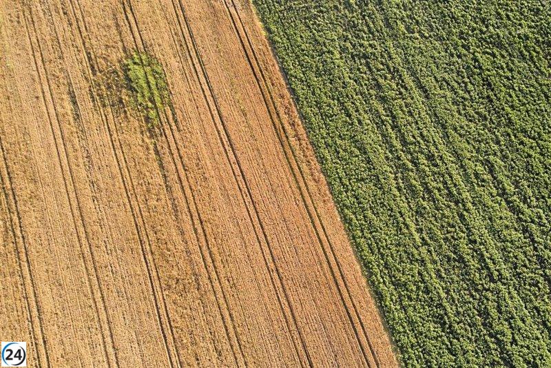 El PP promete aumento urgente de la renta agraria en vista de la situación crítica del campo.