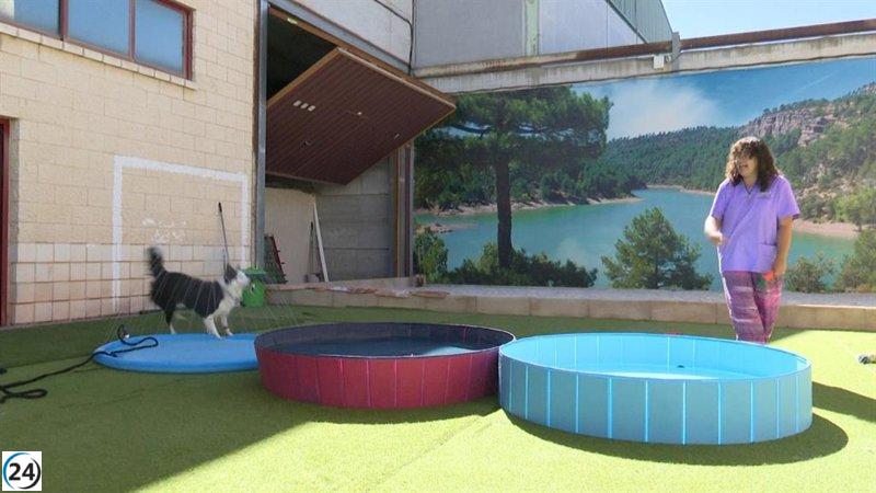Hotel canino en Cuenca ofrece alojamiento para más de treinta animales