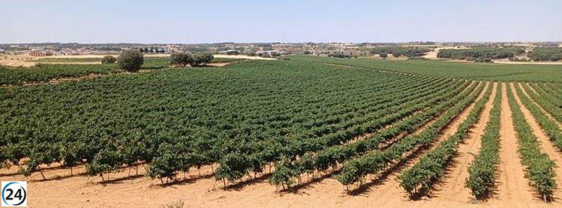 Castilla-La Mancha amplía plazo de alegaciones a la PAC para 2023 hasta el 15 de septiembre