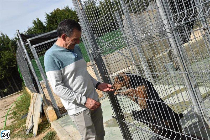 El Albergue Provincial de Animales de Cuenca celebra un año exitoso con 100 adopciones.