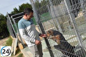 El Albergue Provincial de Animales de Cuenca celebra un año exitoso con 100 adopciones.
