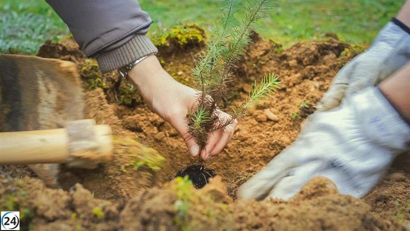 Jóvenes becarios japoneses liderarán reforestación masiva en área quemada de Guadalajara.