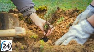 Jóvenes becarios japoneses liderarán reforestación masiva en área quemada de Guadalajara.