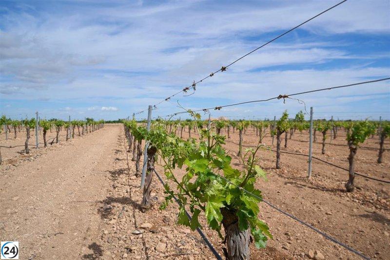 Inicia un innovador proyecto de fertirrigación en la agricultura para aumentar la producción sin incrementar el consumo de agua.