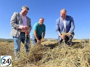 C-LM y arroceros de Hellín colaboran para destacar el arroz DOP Calasparra en la reconocida marca 'Campo y Alma'
