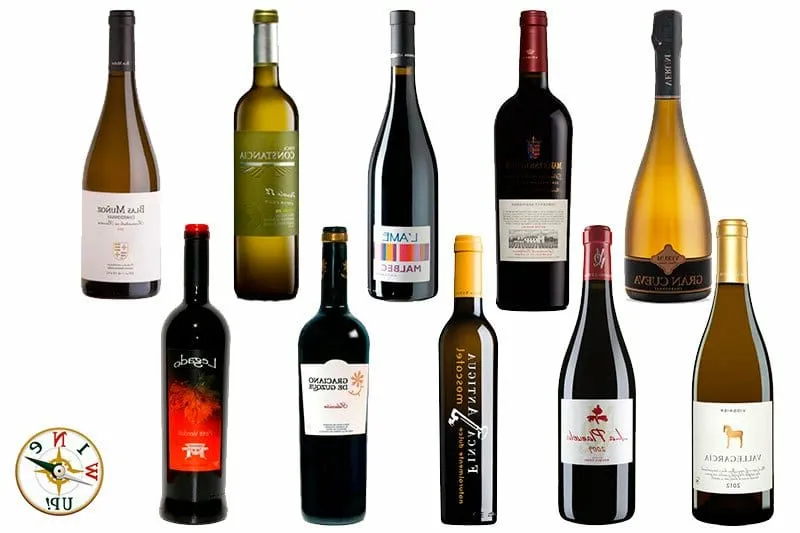 Conoce los vinos más destacados de la región