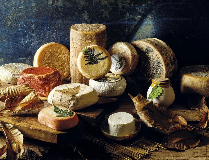 Deleita tu paladar con el queso manchego